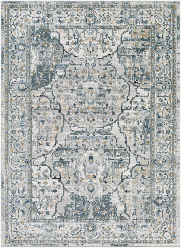 Livabliss Jolie Traditional Area Rug Machine Woven Polypropylene Medium Pile Living Room JLO2301-679