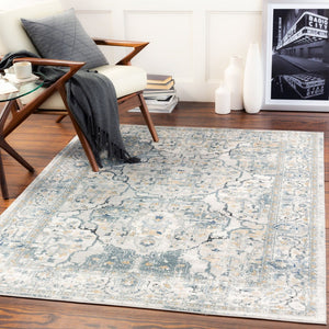 Livabliss Jolie Traditional Area Rug Machine Woven Polypropylene Medium Pile Living Room JLO2301-679