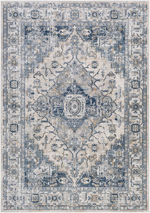 Livabliss Jolie Traditional Turkish Woven Area Rug with High Low Pile Texture for Living Rooms Medium Gray, Ta 5'3" x 7'3" JLO2305-5373