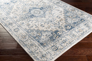 Livabliss Jolie Traditional Turkish Woven Area Rug with High Low Pile Texture for Living Rooms Medium Gray, Ta 5'3" x 7'3" JLO2305-5373