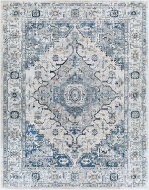 Livabliss Jolie Traditional Turkish Woven Area Rug with High Low Pile Texture for Living Rooms Medium Gray, Ta 7'10" x 10' JLO2305-71010