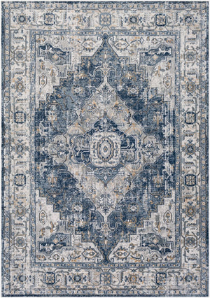 Livabliss Jolie Traditional Turkish Woven Area Rug with High Low Pile for Living Rooms Medium Gray, Ta 6'7" x 9' JLO2306-679