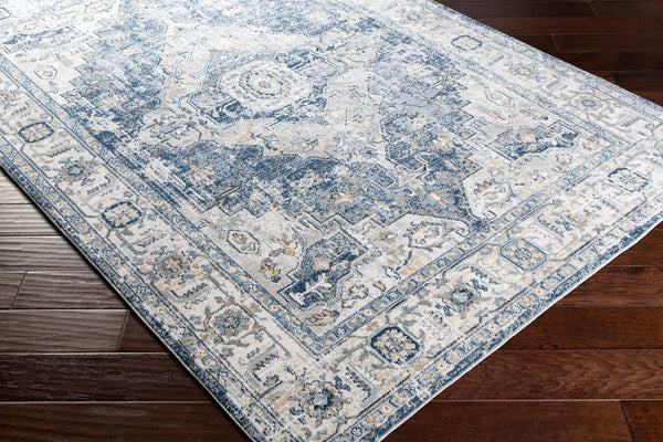 Livabliss Jolie Traditional Turkish Woven Area Rug with High Low Pile for Living Rooms Medium Gray, Ta 6'7" x 9' JLO2306-679