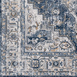 Livabliss Jolie Traditional Turkish Woven Area Rug with High Low Pile for Living Rooms Medium Gray, Ta 6'7" x 9' JLO2306-679