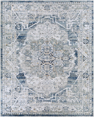 Livabliss Jolie Traditional Pattern Modern Area Rug Polypropylene Woven Living Room Accent Medium Gray, Ta 7'10" x 10' JLO2309-71010