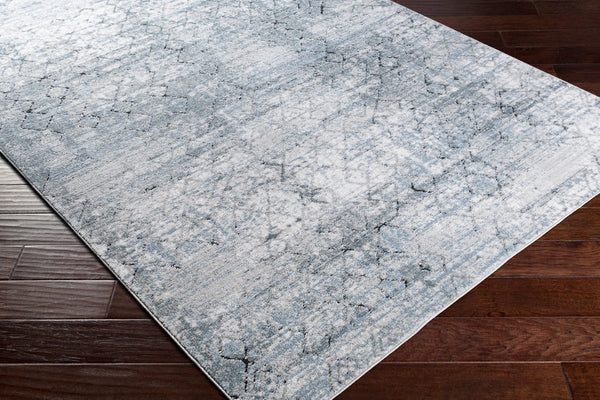 Livabliss Jolie Traditional Area Rug Turkey Woven Polypropylene Blend for Formal Living Rooms JLO2313-912