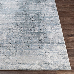 Livabliss Jolie Traditional Area Rug Turkey Woven Polypropylene Blend for Formal Living Rooms JLO2313-912