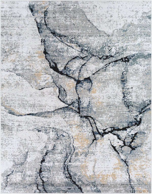 Livabliss Jolie High Low Pile Turkish Woven Polypropylene Rug for Large Living Spaces Medium Gray, Ta 7'10" x 10' JLO2316-71010