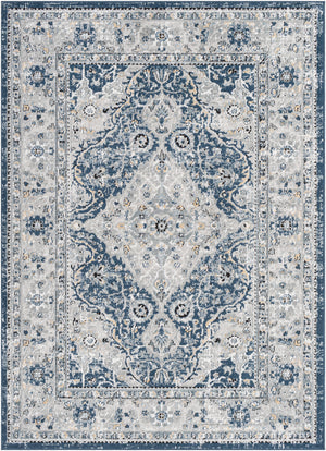 Jolie JLO-2326 6'7" x 9' Machine Woven Rug JLO2326-679 Livabliss Surya