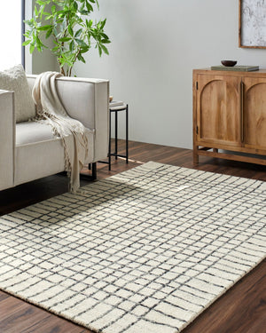 Livabliss Jules Hand Tufted Wool Accent Rug Plush Medium Pile for Entryways and Bedroom Floors Ivory, Charcoal 9' x 12' JLS2304-912