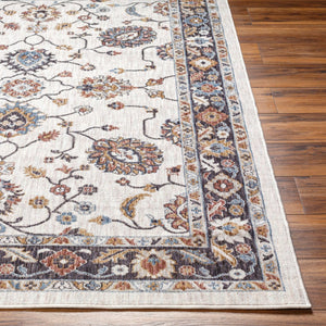 Livabliss Juliet Machine Woven Recycled Fabric Area Rug Traditional Pattern for Living Rooms JLT2304-679