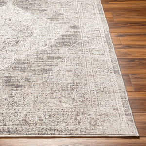 Livabliss Juliet Traditional Low Pile Recycled Fabric Indoor Outdoor Rug for Living Dining Rooms JLT2305-679