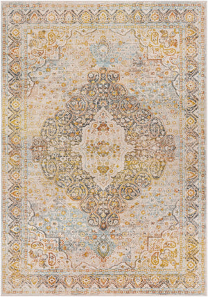 Livabliss Jamila Traditional Polypropylene Area Rug with Medium Pile for Living and Dining Rooms JML2306-9212