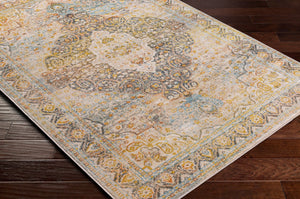 Livabliss Jamila Traditional Polypropylene Area Rug with Medium Pile for Living and Dining Rooms JML2306-9212