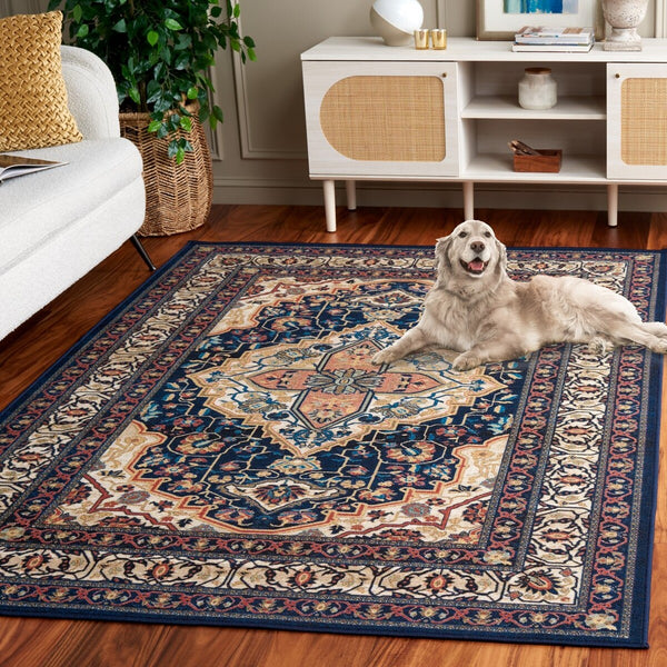 Safavieh Journey 105 Power Loomed Transitional Rug JNY105N-9