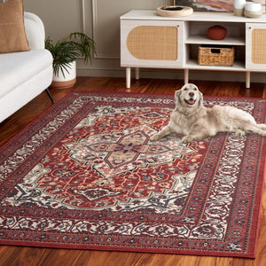 Safavieh Journey 105 Power Loomed Transitional Rug JNY105P-9