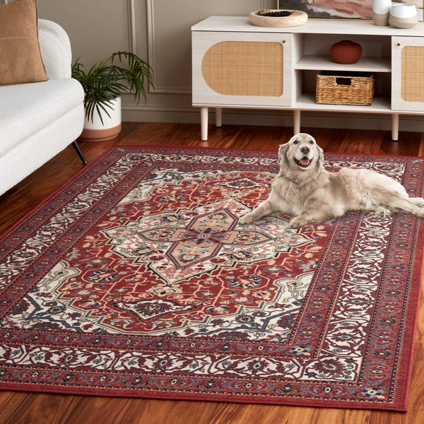 Safavieh Journey 105 Power Loomed Transitional Rug JNY105P-9