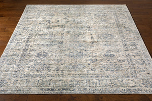 Jordan JOR-2301 8' x 10' Handmade Rug JOR2301-810  Deep Teal, Denim, Tan, Cream Surya