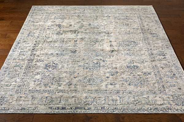 Jordan JOR-2301 8' x 10' Handmade Rug JOR2301-810  Deep Teal, Denim, Tan, Cream Surya