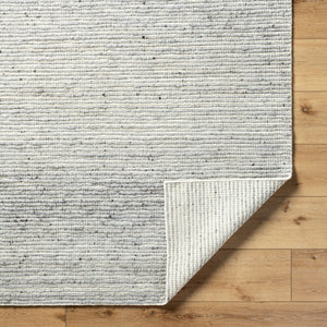 Japandi JPD-2300 9' x 12' Handmade Rug JPD2300-912  Ash, Light Silver, Metallic - Silver, Pale Slate Surya
