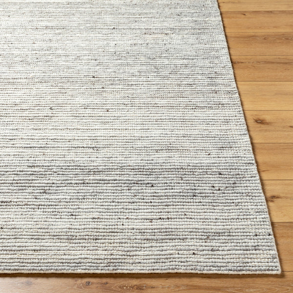 Japandi JPD-2300 9' x 12' Handmade Rug JPD2300-912  Ash, Light Silver, Metallic - Silver, Pale Slate Surya