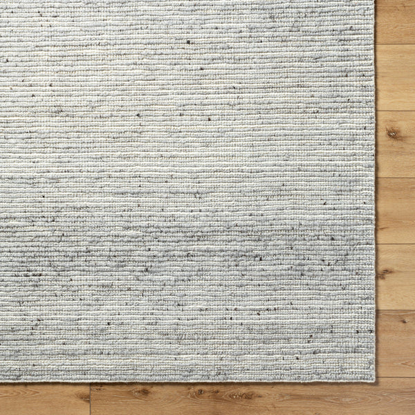 Japandi JPD-2300 9' x 12' Handmade Rug JPD2300-912  Ash, Light Silver, Metallic - Silver, Pale Slate Surya