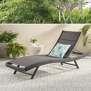 Christopher Knight Home® Noble House Kauai Pe-Outdoor Mesh Chaise