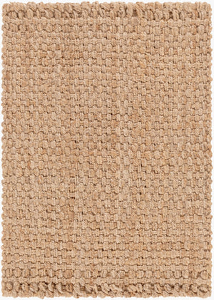 Livabliss Jute Flatweave Handwoven Area Rug Natural Fiber Farmhouse Bohemian Living Room Tan 2' x 3' JS2-23
