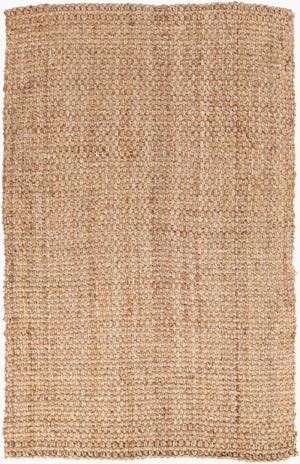 Livabliss Jute Flatweave Handwoven Area Rug Natural Fiber Farmhouse Bohemian Living Room Tan 3'6" x 5'6" JS2-3656
