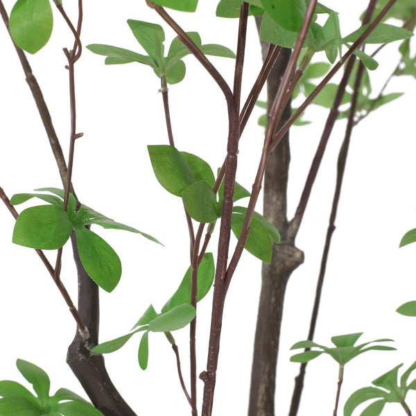 English Elm 180cm Faux Enkianthus Indoor Tree Realistic Disc Leaf Branches Zero Maintenance 74335.00