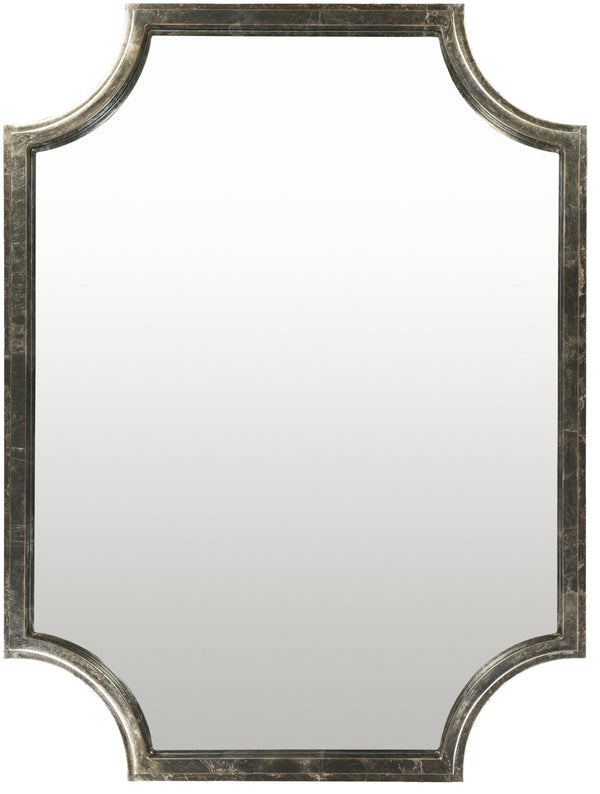Joslyn JSL-002 40"H x 30"W x 2"D Accent Mirror JSL002-3040  Frame: Metallic - Silver Surya