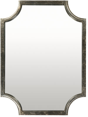 Joslyn JSL-002 40"H x 30"W x 2"D Accent Mirror JSL002-3040  Frame: Metallic - Silver Surya