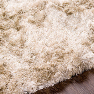 Surya Jasper 5' X 8' Handmade Rug - Modern Durable Polyester Design With Plush Pile For Timeless Elegance Beige Polyester Jsp8005-23