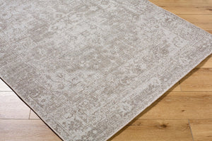 Livabliss Judie Handwoven Wool Blend Flatweave Accent Rug for Entryways Kitchens and Bathrooms Beige, Sand 27" x 45" JUD2303-2745