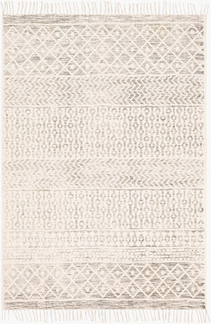 Livabliss July Handwoven Cotton Flatweave Runner Rug with Fringe Bohemian Artisan Hallway Accent Charcoal, Light 3' x 5' JUY2302-35