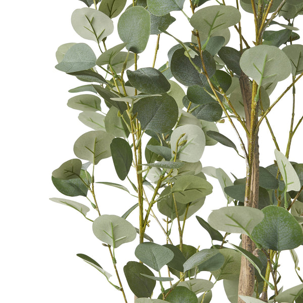 English Elm 180cm Artificial Eucalyptus Tree Faux Silver Dollar Foliage Tall Indoor Accent 70530.00