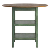 Homelegance By Top-Line Theordore Antique Finish 2 Side Drop Leaf Round Counter Height Table Sage Rubberwood