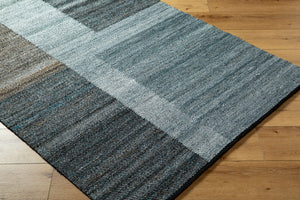 Livabliss Jocelyn Handwoven Recycled Pet Flatweave Accent Rug for Entryways and Small Spaces Slate Blue, Ste 9' x 12' JYN2302-912