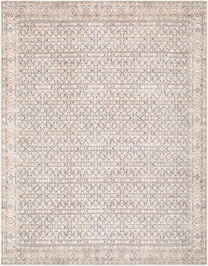 Livabliss Sylvia Traditional Pattern Chenille Accent Rug Turkish Woven Low Pile for Entryways Taupe 9'2" x 12' JYSL2301-9212