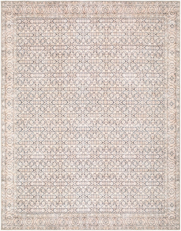 Livabliss Sylvia Traditional Pattern Chenille Accent Rug Turkish Woven Low Pile for Entryways Taupe 9'2" x 12' JYSL2301-9212