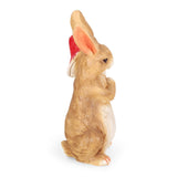 Christopher Knight Home® Noble House Mgo Rabbit