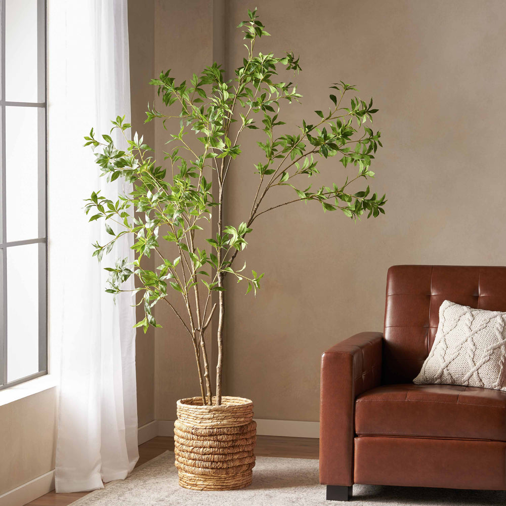 English Elm 210cmartificial Pieris Tree Nearly 7 Foot Faux Indoor Statement Plant Iron Frame 74346.00