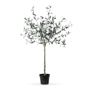 Potted Olive Topiary EBQ81053 Park Hill