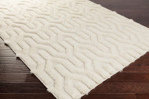 Surya Kabru 2' X 3' Handmade Wool Rug - Modern Decor Essential With Plush Pile & One Year Warranty Cream Wool Kab8006-268