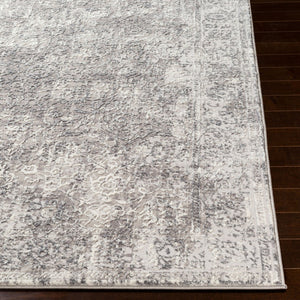 Livabliss Katmandu Traditional Machine Woven Rug Turkish Crafted Entryway Accent Piece KAT2301-23