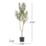 Christopher Knight Home® - Noble House - Taos 4' X 1.5' Artificial Olive Tree, Green