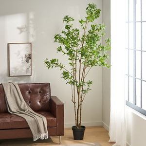 English Elm 240cmartificial Pieris Tree Lifelike Cascading Foliage Tall Indoor Botanical Accent 74348.00