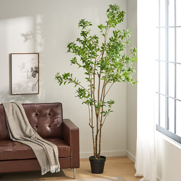 English Elm 240cmartificial Pieris Tree Lifelike Cascading Foliage Tall Indoor Botanical Accent 74348.00
