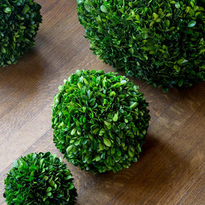 Preserved Boxwood Ball, 8" EBD80083 Park Hill