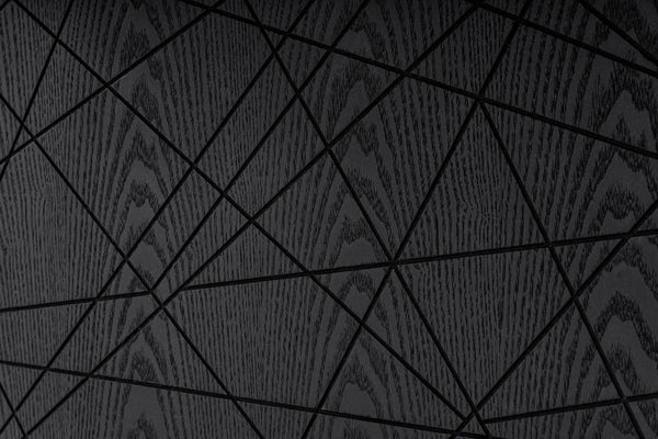 VIG Furniture Modrest Kenda - Modern Black Ash + Stainless Steel Dining Table VGVCT2355-BLK